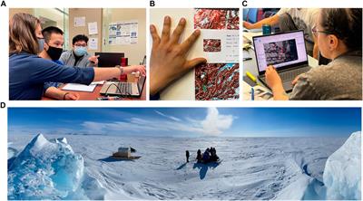 Indigenous self-determination in cryospheric science: The Inuit-led Sikumik Qaujimajjuti (“tools to know how the ice is”) program in Inuit Nunangat, Canada